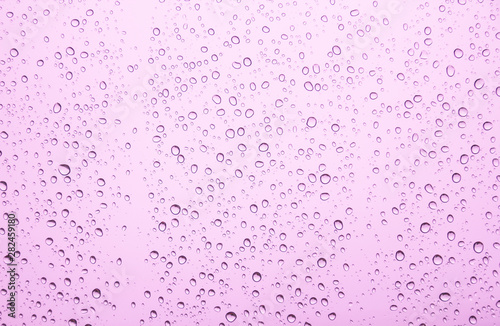 Water drops on glass or rain drop with pink filter