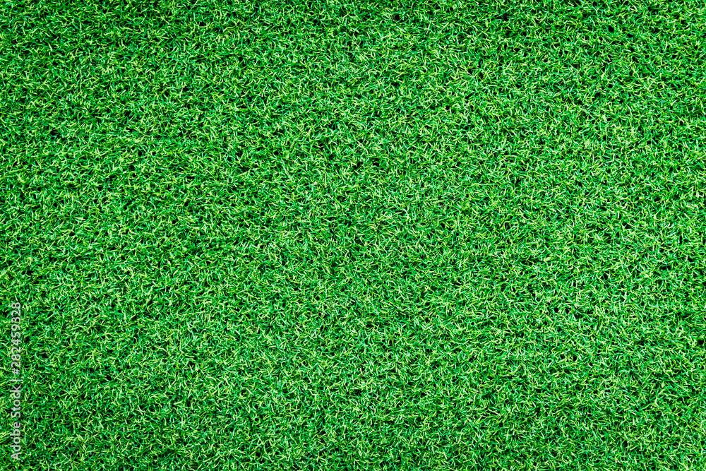 Fototapeta premium Green grass background