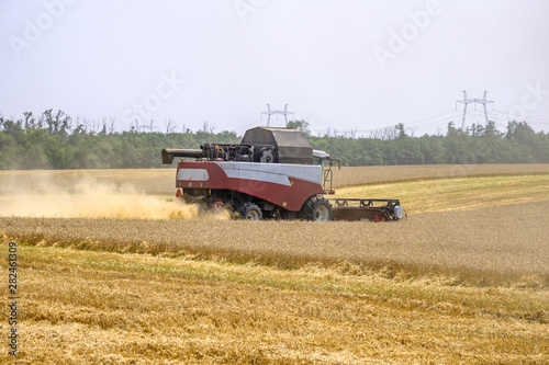 Harvester in dust clubs at work on the harvest of wheat on a huge field in the summer. Thus  the birth of bread occurs.