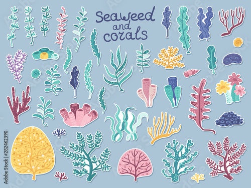 Set of stickers with algae and corals