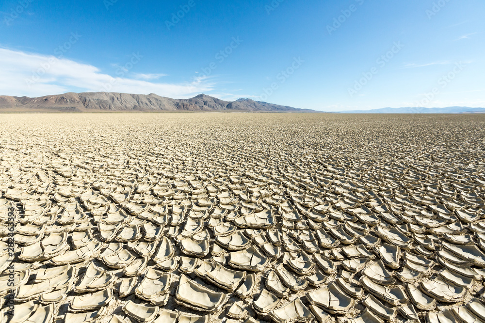 Fototapeta premium Cracked playa mud texture leading out to the mountains on the Black Rock desert