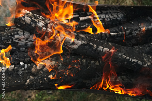 Burning firewood in the fire outdoor