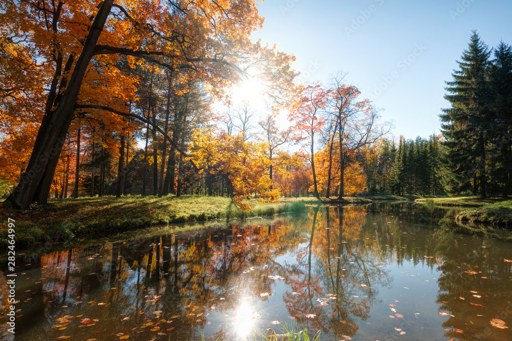 Golden Autumn in Catherine Park, Tsarskoye Selo. The city of Pushkin, Leningrad region. Golden Autumn in Catherine Park, Tsarskoye Selo. The city of Pushkin, Leningrad region.