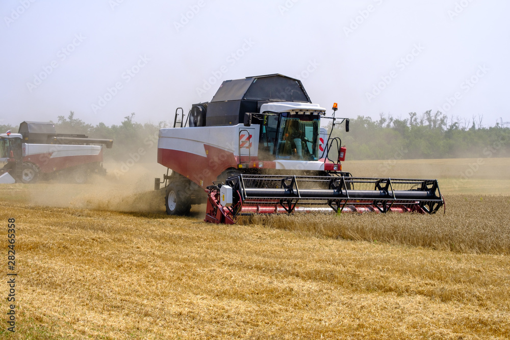 Obraz premium Agricultural combines in dust clubs harvest wheat on a huge field in the summer. Thus, the birth of bread occurs.