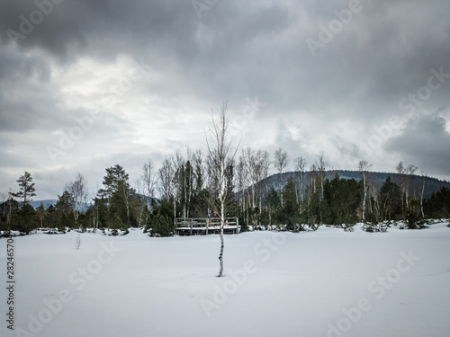 The Sumava National Park or Bohemian Forest National Park is a national park in the South Bohemian regions of the Czech Republic  along the border with Germany and Austria. NP is protcted by UNESCO. photo