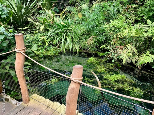 Pond with bridge in botanical garden in Prague