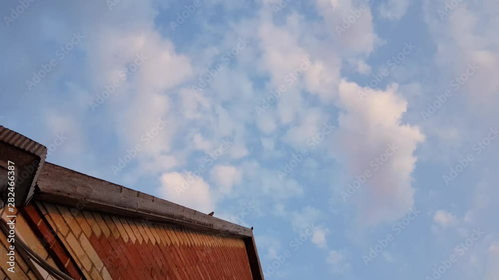 blue sky with white clouds, the roof of the house with three sparrow birds, bottom view blue sky with white clouds, the roof of the house with three sparrow birds, bottom view