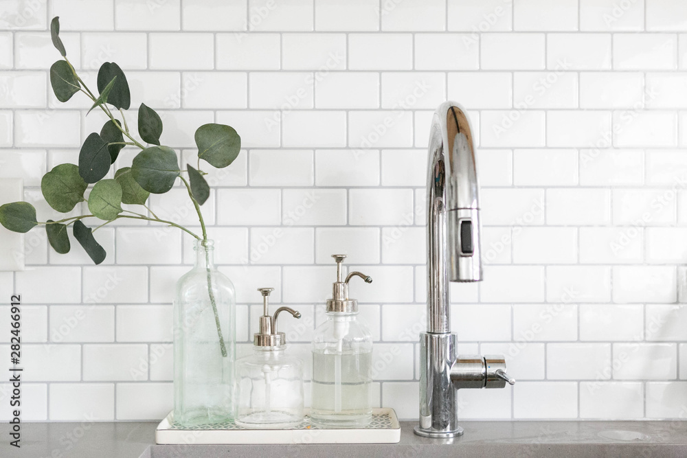 Modern Stainless Steel Sink with Soap Dispensers and Plant, Modern