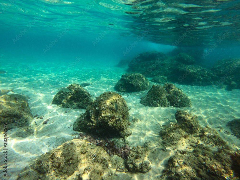 Obraz premium underwater background and free space for your decoration. 