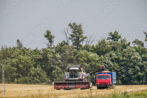An agricultural combine harvester unloads wheat in a truck in a summer field. © Nekrasov