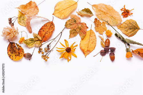 yellow dry leaves, acorn, walnut, flowers. concept of autumn