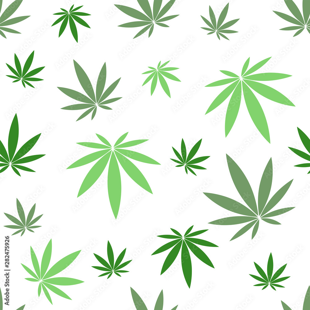 Fototapeta premium Seamless pattern with green hemp on white background.