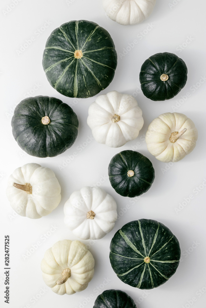 White and green pumpkins on a white background, creative flat lay thanksgiving concept, top view White and green pumpkins on a white background, creative flat lay thanksgiving concept, top view