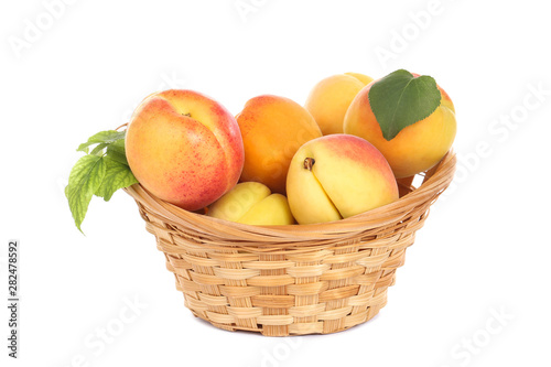 Sweet apricots in basket isolated on white background