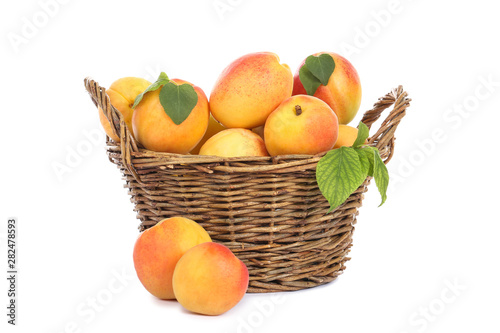 Sweet apricots in basket isolated on white background