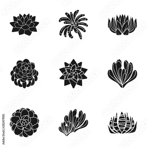 Succulent botany icon set. Simple set of 9 succulent botany vector icons for web design isolated on white background