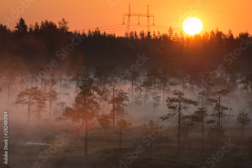 Misty bog in morning sunlight with sun ball and power lines on the horizon