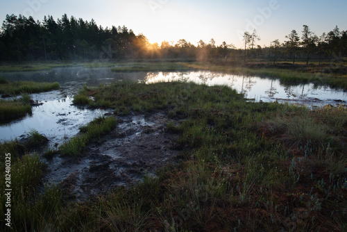 Morning sun over misty pond