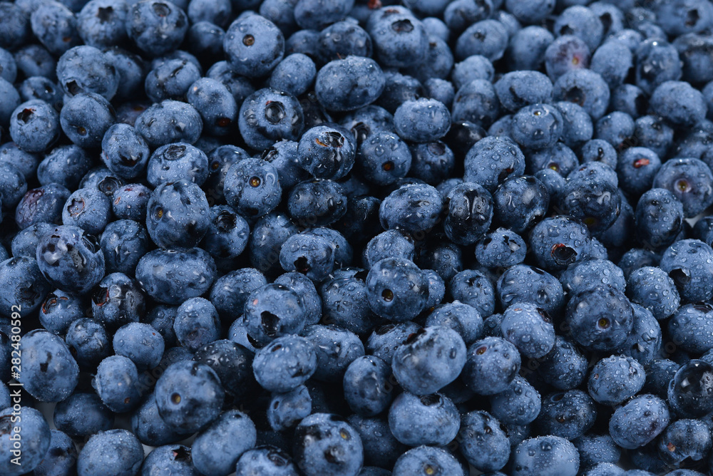 Fresh blueberry background. Texture blueberry berries close up. Fresh blueberry background. Texture blueberry berries close up.