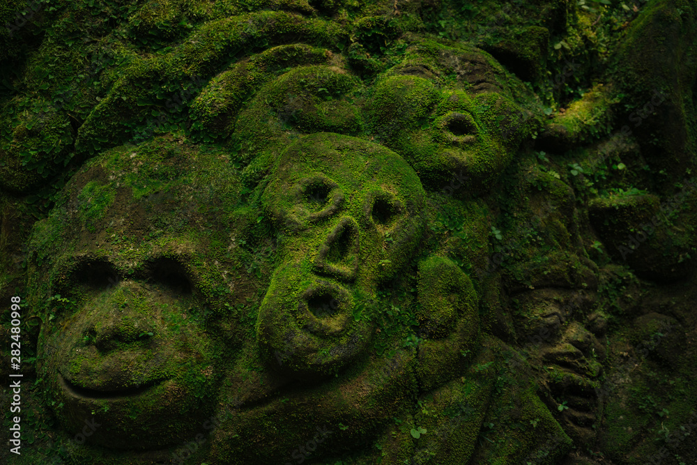 Carving demons faces on wall background covered with moss texture in ...