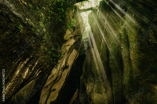 Beautiful sun light rays shining through cave and leaves