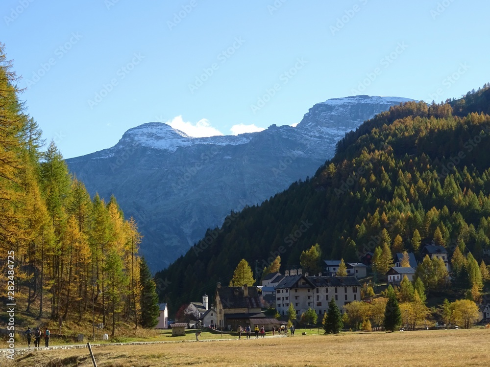 A mountain pasture with its typical houses immersed in the Nature of the Natural Park 