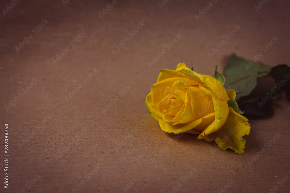 Naklejka premium yellow rose on wooden background