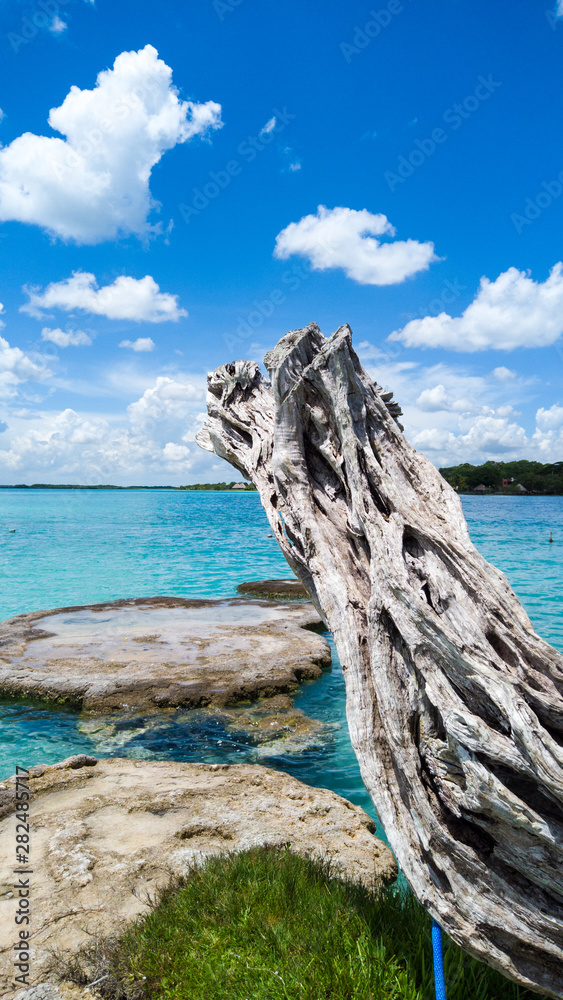 Bacalar