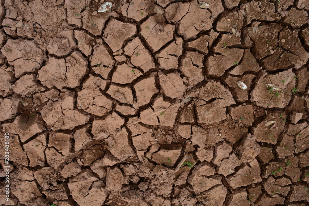 the cracked of soil in summer from global warming effect and drough the cracked of soil in summer from global warming effect and drough