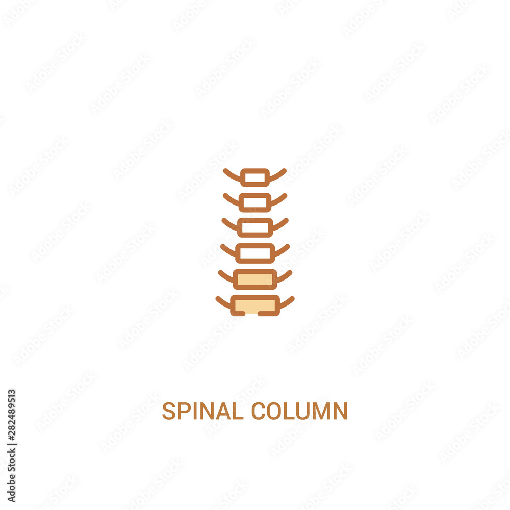 spinal column concept 2 colored icon. simple line element illustration. outline brown spinal column symbol. can be used for web and mobile ui/ux. spinal column concept 2 colored icon. simple line element illustration. outline brown spinal column symbol. can be used for web and mobile ui/ux.