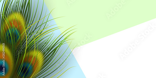 Peacock feathers template. Minimal exotic background with frame and copy space. Vector illustration.