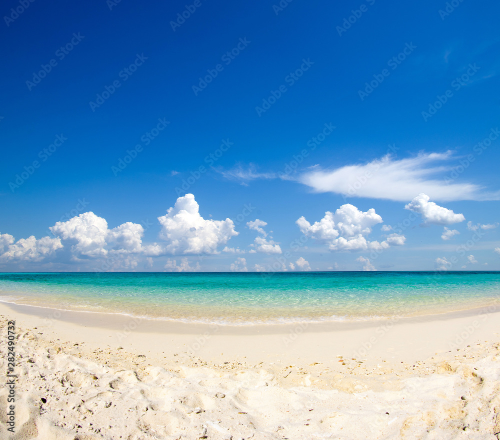 Obraz premium tropical Maldives island with white sandy beach and sea