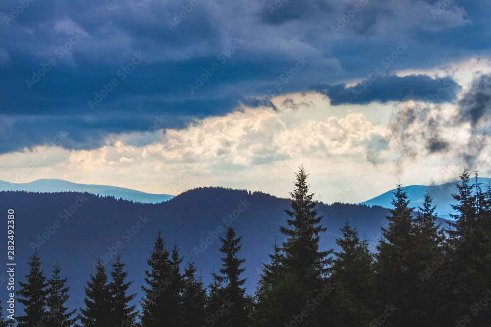 Silhouettes of Christmas trees on a background of blue mountains in stormy weather_