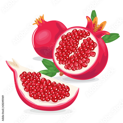 Pomegranate is a fresh red fruit