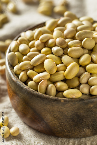 Dry Organic Yellow Mayocoba Beans