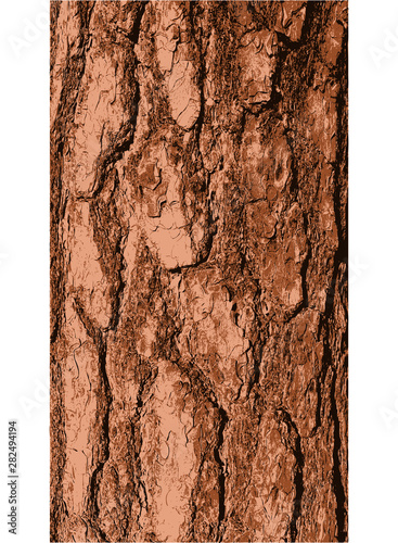 pine tree bark