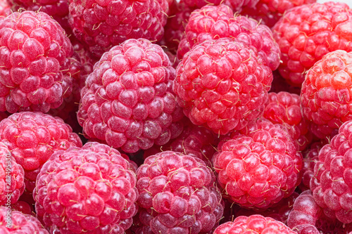 large berries of ripe red raspberries as a natural background