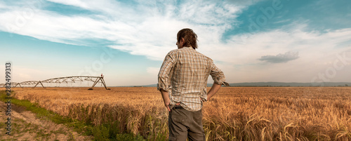 Worried farmer in barley field on a windy day