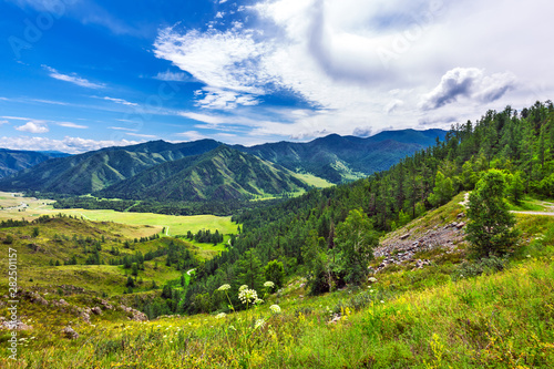 Chike - Taman mountain pass. Altai Republic, Russia