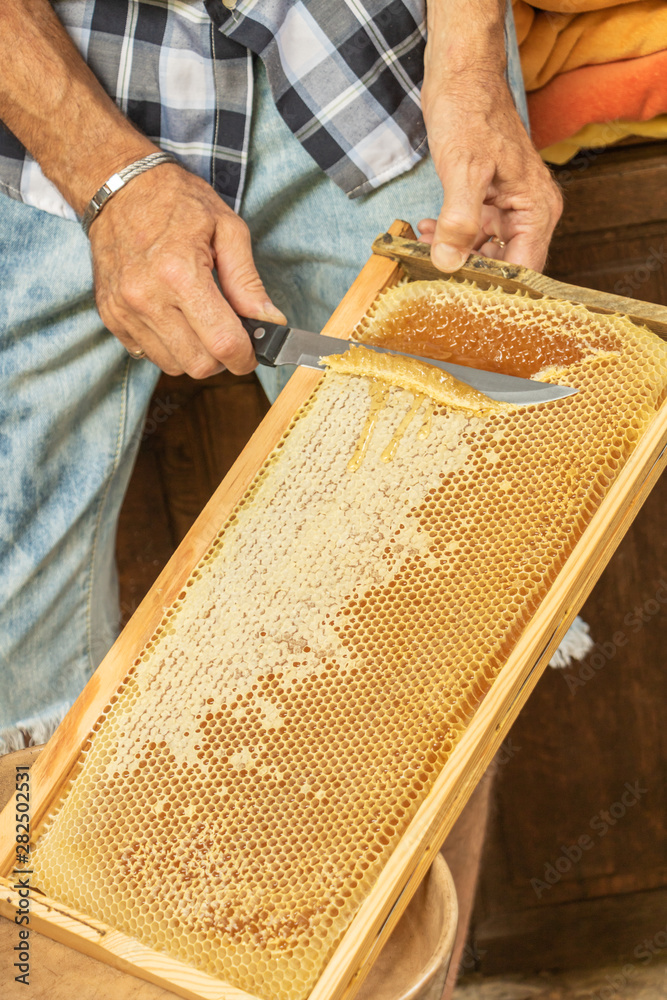 Support à Miel En Nid D'abeille Inox - Présentoir Réglable Pour Restaurant, Apiculture, Dégustation - 8