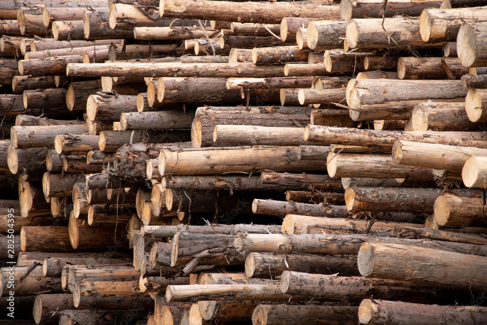 Lumber Log Wood Stock Pile Lumber Log Wood Stock Pile
