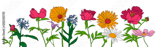vector drawing flowers
