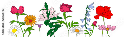 vector drawing flowers