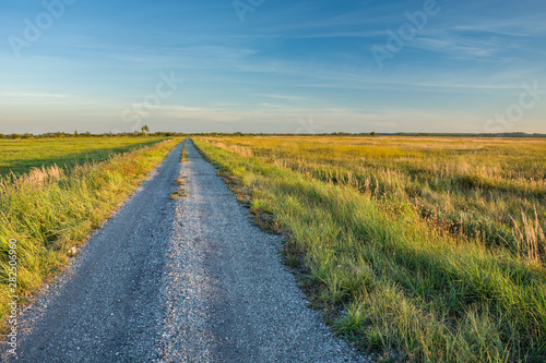 A gravel road through wild meadows