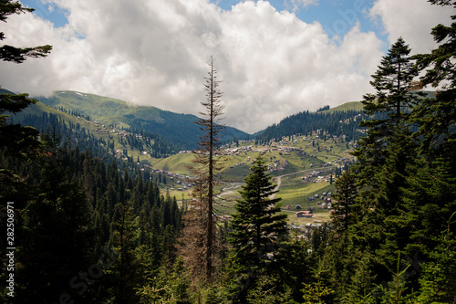 Landscape of the mountains covered with forest and houses on the hills in the foreground of evergreen trees