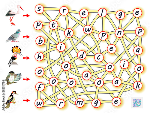 Logic puzzle game for study English with labyrinth. Find the way from each bird and join letters so you can read the words. Printable worksheet for kids textbook. Back to school. Vector cartoon image.