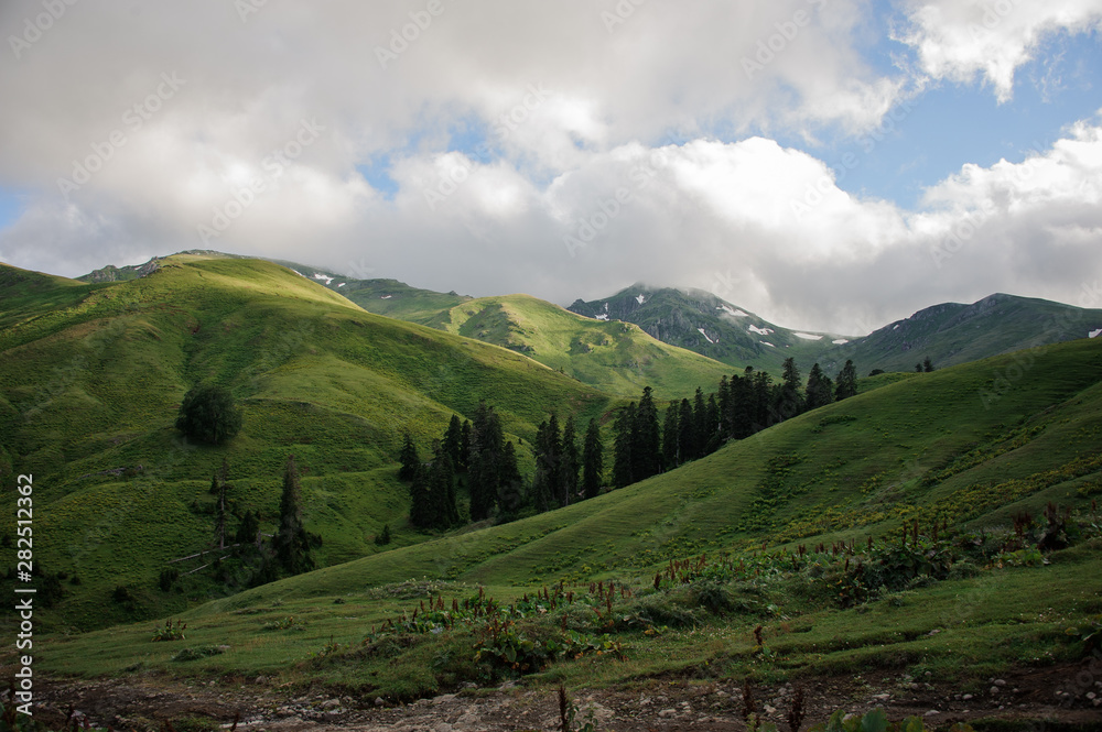 Obraz premium Amazing view of the green hills under the clouds with evergreen trees in the middle