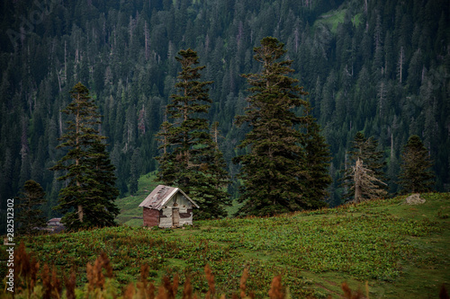 Landscape of the wooden house standing on the hill in the backgrpund of evergreen forest