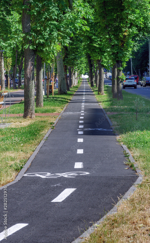 Bicycle lane under the trees on city street.