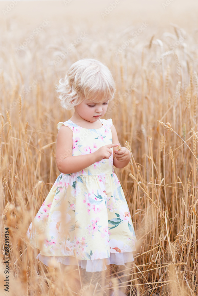 Little girl in cereal field. Girls in the grain-field. Happy little ...